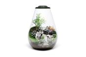 Bio Bowl 200 and Light Black (26x20cm)