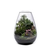 Bio Bowl 175 and Light White (23x17.5cm)