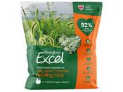 Burgess Long Stem Hay 1kg image