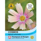 Cosmos Bipinnatus 'Apricot Lemonade'