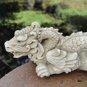 Chinese Dragon 56cm DN7