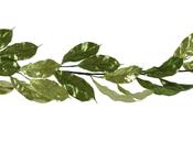 Christmas Green Leaf Garland with Two Tones (17cm x 130cm) image