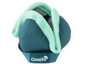 Coachi Pup &amp; Mini Chase/Treat Teal Mint image
