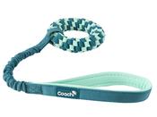 Coachi Pup &amp; Mini Tuggi Helix Teal Mint image