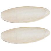 Cuttlefish Bone 6"/12"