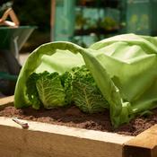 Grow It Heavy Duty Thick Fleece 10m x 1m