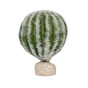 Habistat Cacti, Barrel