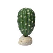 Habistat Cacti, Stenocereus