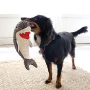 KONG Cuteseas Rufflez Shark