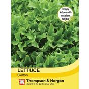 Lettuce 'Skilton'