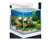 Ciano Nexus Pure 25 Aquarium With LED Lights 22 Litre