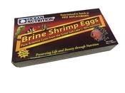 Ocean Nutrition Artemia Brine Shrimp Eggs image