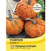 Pumpkin 'Zombie' F1 Hybrid