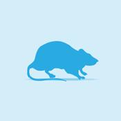Rat Frozen Giant (>451g)