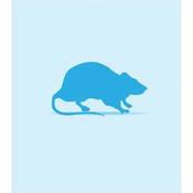 Rat Frozen Weaner (26-50g)