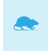 Rat Frozen Small (101-150g) image