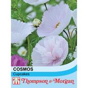 Cosmos 'Cupcakes' Mix