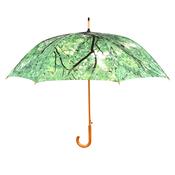 Tree Canopy Umbrella image