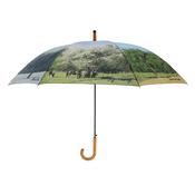Four Seasons Umbrella image