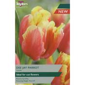 Tulip Dee Jay Parrot (5 pack) image