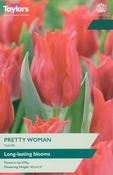Tulip 'Pretty Woman' – 6 Bulbs image