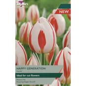 Tulip 'Happy Generation' – 7 Bulbs image