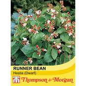 Dwarf Runner Bean 'Hestia'