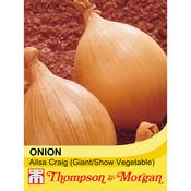 Onion 'Ailsa Craig' (Giant/Show Vegetable)