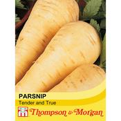 Parsnip 'Tender and True'