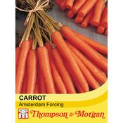 Carrot 'Amsterdam Forcing'