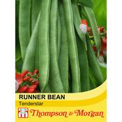 Runner Bean 'Tenderstar'