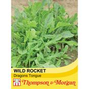 Wild Rocket 'Dragon's Tongue'