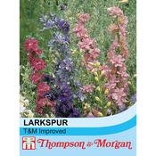 Larkspur 'T&amp;M Improved'