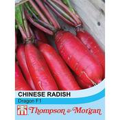 Radish Chinese Dragon  Hybrid image