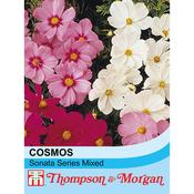 Cosmos 'Sonata Series Mixed'