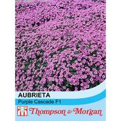 Aubrieta 'Purple Cascade' F1 Hybrid
