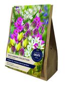 Taylors Wild Garden Bulb Collection – 60 Bulbs