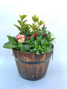 Wooden Planted Brown or Grey Barrell with Seasonal Colour