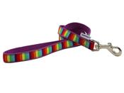Ancol Soho Rainbow Lead 19mm x 1m image