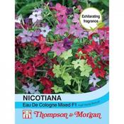 Nicotiana Eau De Cologne