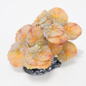 Betta Choice 4" Orange Begonia Plastic Plant image