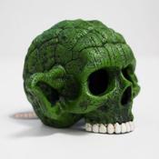 Betta Green Sage Skull image