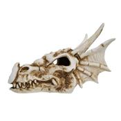 Betta Skull Cave image