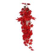 Betta Terra Red Star Vine 70cm image