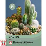 Cactus Mix