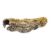 PR Cork Bark Small Tubes (a22) image