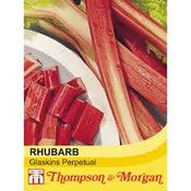 Rhubarb 'Glaskins Perpetual' 60 Seed Pack