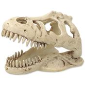 Repti Planet T-Rex Skull image