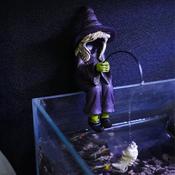 Betta Sitting Fishing Witch image