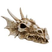 Betta Dragon Skull image